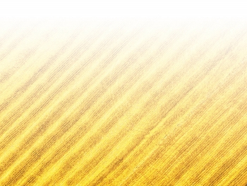 智能農機、“訂單”服務(wù)、“云端”種菜——來(lái)自江西的春耕“新事”